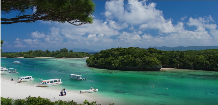Paradise Island of Flores